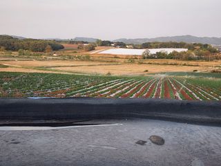 it농부님의 감자 · 자유게시판 작성글 사진