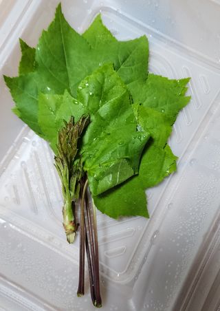 박필진님의 자유주제 · 자유게시판 작성글 사진