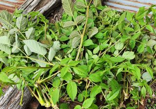 박필진님의 자유주제 · 자유게시판 작성글 사진