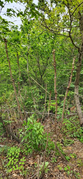 박필진님의 자유주제 · 자유게시판 작성글 사진