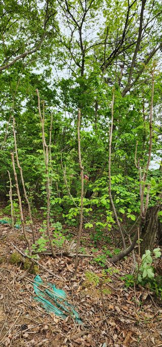 박필진님의 자유주제 · 자유게시판 작성글 사진