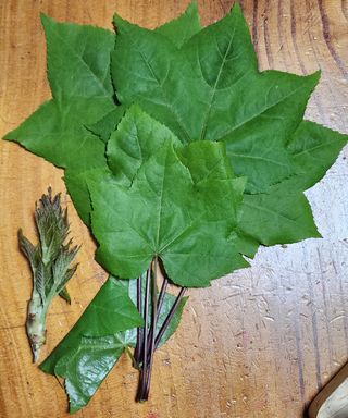 박필진님의 자유주제 · 자유게시판 작성글 사진