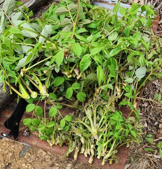 박필진님의 자유주제 · 자유게시판 작성글 사진