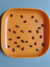 팜모닝 자유주제·자유게시판 게시글 이미지