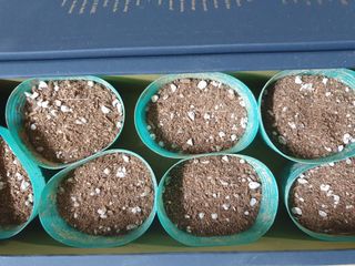 숲등농장 달밭사과님의 자유주제 · 자유게시판 작성글 사진