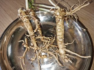 박경재님의 자유주제 · 자유게시판 작성글 사진