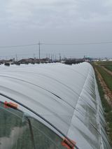 팜모닝 · 게시글 이미지