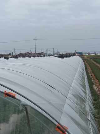 김형준님의 작성글 사진