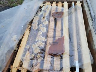 여우내 이순홍님의 기타작물 · 자유게시판 작성글 사진