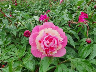 이호성님의 작성글 사진