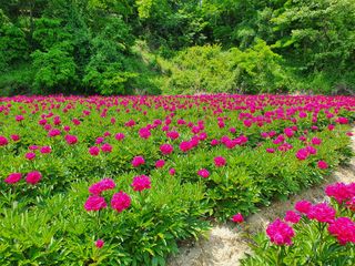이호성님의 작성글 사진