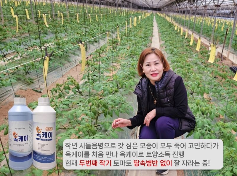 장터 상품 [옥케이(소독제)] 썸네일