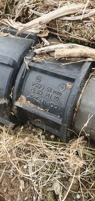 김동현님의 작성글 사진