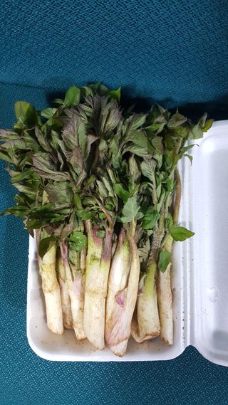 장호경님의 작성글 사진