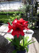 팜모닝 자유주제·사진전 게시글 이미지