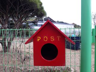 장흥엘림농원의배달기님의 자유주제 · 사진전 작성글 사진