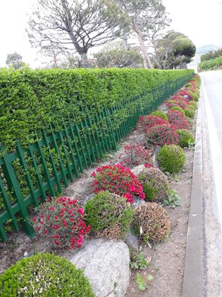 장흥엘림농원의배달기님의 자유주제 · 사진전 작성글 사진