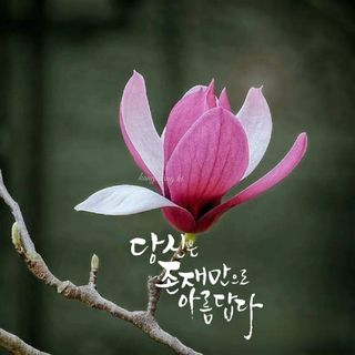 장흥엘림농원의배달기님의 자유주제 · 사진전 작성글 사진