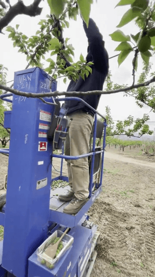 제우스렌탈 정용민님의 농기계정보 · 자유게시판 작성글 사진