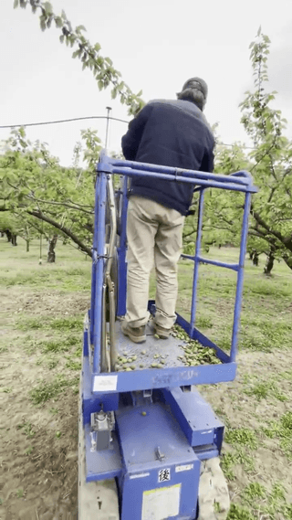 제우스렌탈 정용민님의 농기계정보 · 자유게시판 작성글 사진