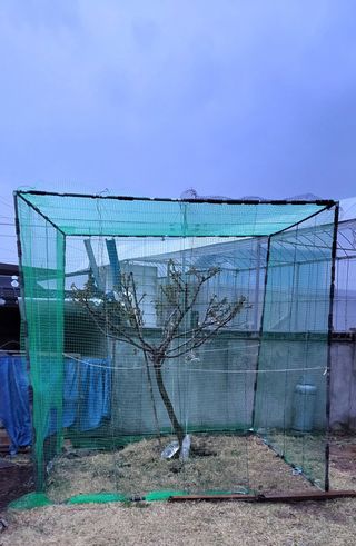 김중언님의 기타작물 · 자유게시판 작성글 사진