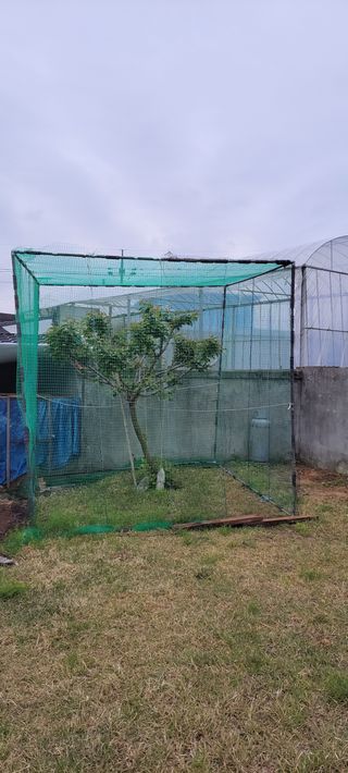 김중언님의 기타작물 · 자유게시판 작성글 사진