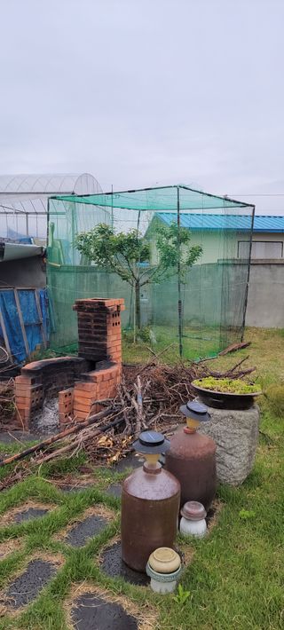 김중언님의 기타작물 · 자유게시판 작성글 사진