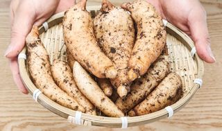 파머스팜X유성천마님의 작성글 사진