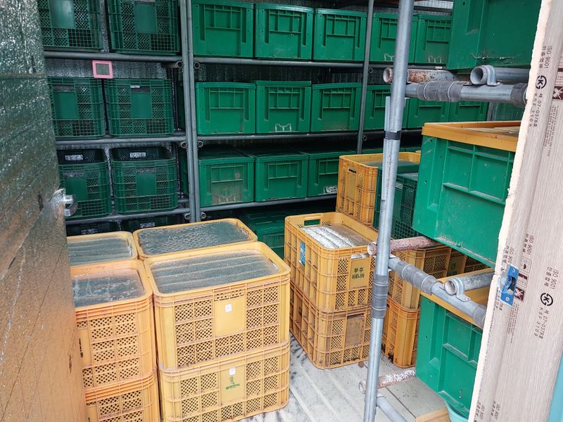 파머스팜X유성천마님의 장터 판매 상품 [2025 봄 생천마 1kg] 첨부 사진