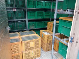 파머스팜X유성천마님의 작성글 사진