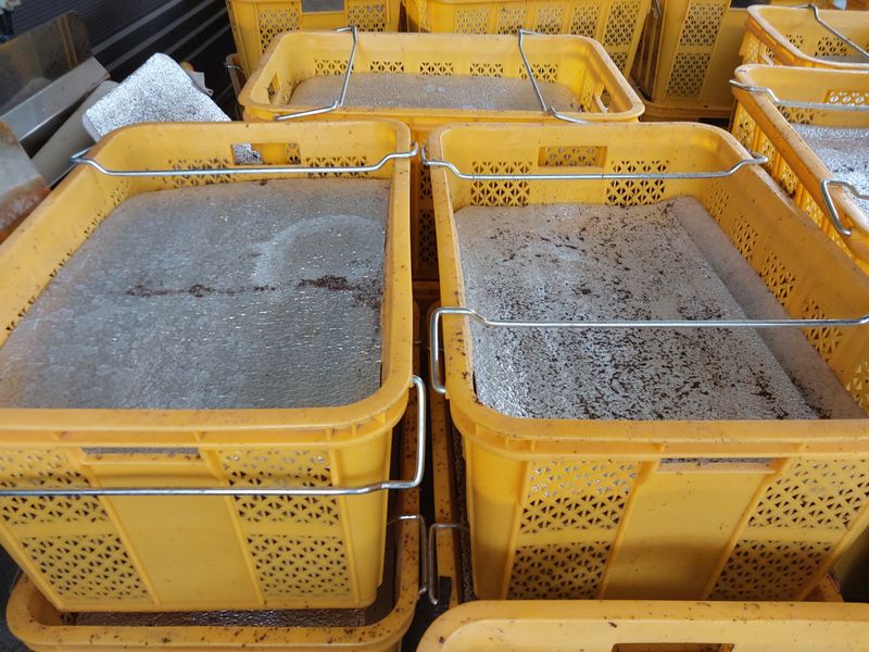 파머스팜X유성천마님의 장터 판매 상품 [2025 봄 생천마 1kg] 첨부 사진