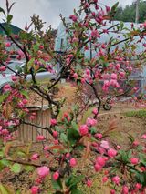 팜모닝 자유주제·자유게시판 게시글 이미지