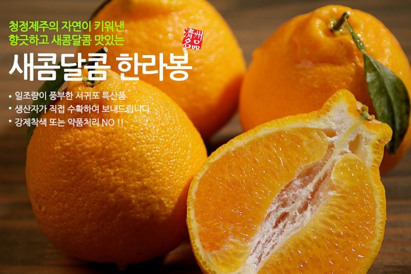 장터 상품 [서귀포 노지한라봉 5Kg, 10Kg 무료배송] 썸네일