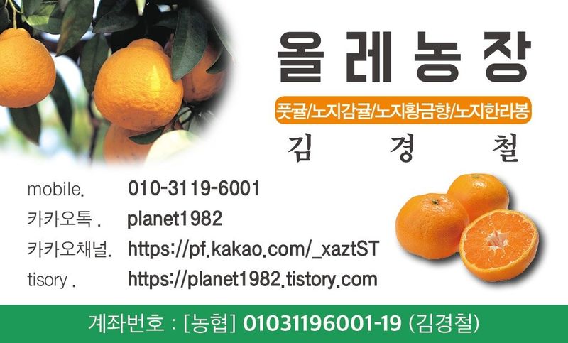 김경철님의 장터 판매 상품 [서귀포 노지한라봉 5Kg, 10Kg 무료배송] 첨부 사진
