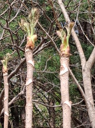 도매니저님의 작성글 사진