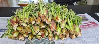 도매니저님의 작성글 사진