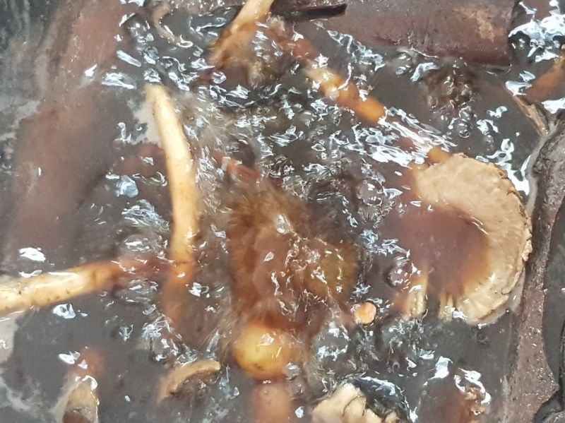 임동현님의 장터 판매 상품 [홍삼쌍화차 100ml×30포(무료택배)] 첨부 사진