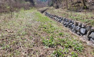 자연농원 순 강재옥님의 작성글 사진