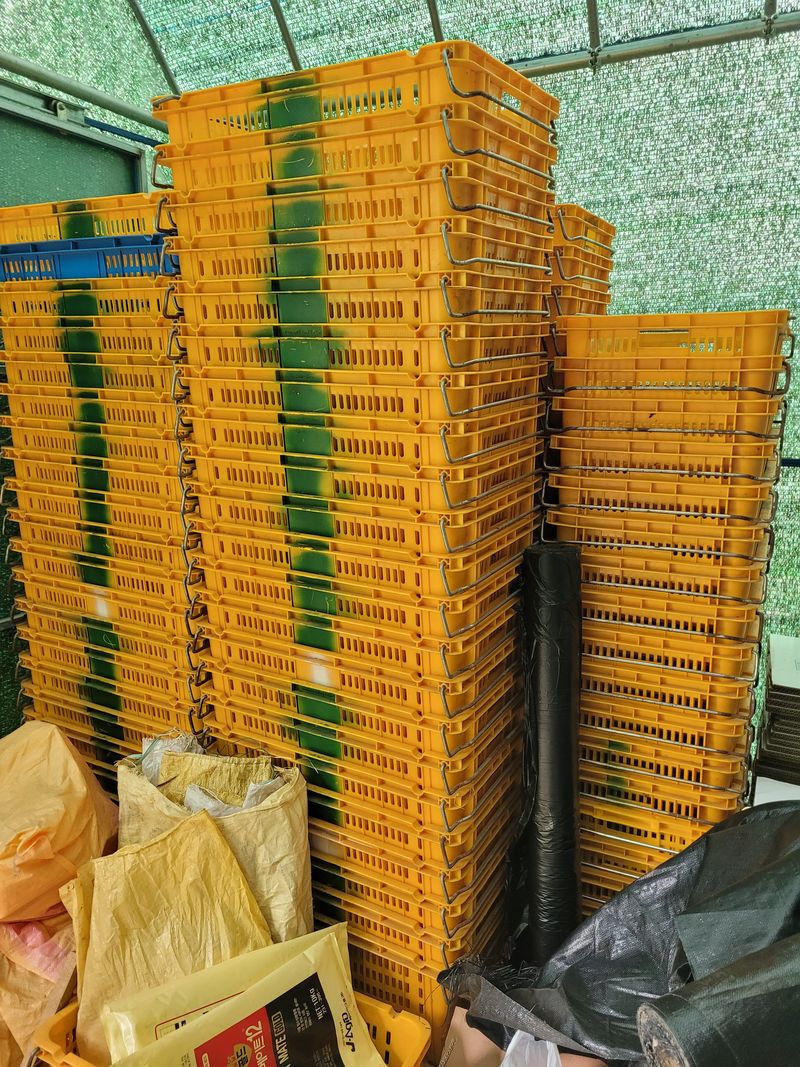 꽃시농님의 장터 판매 상품 [수확상자(중고)(720*450*340)] 첨부 사진