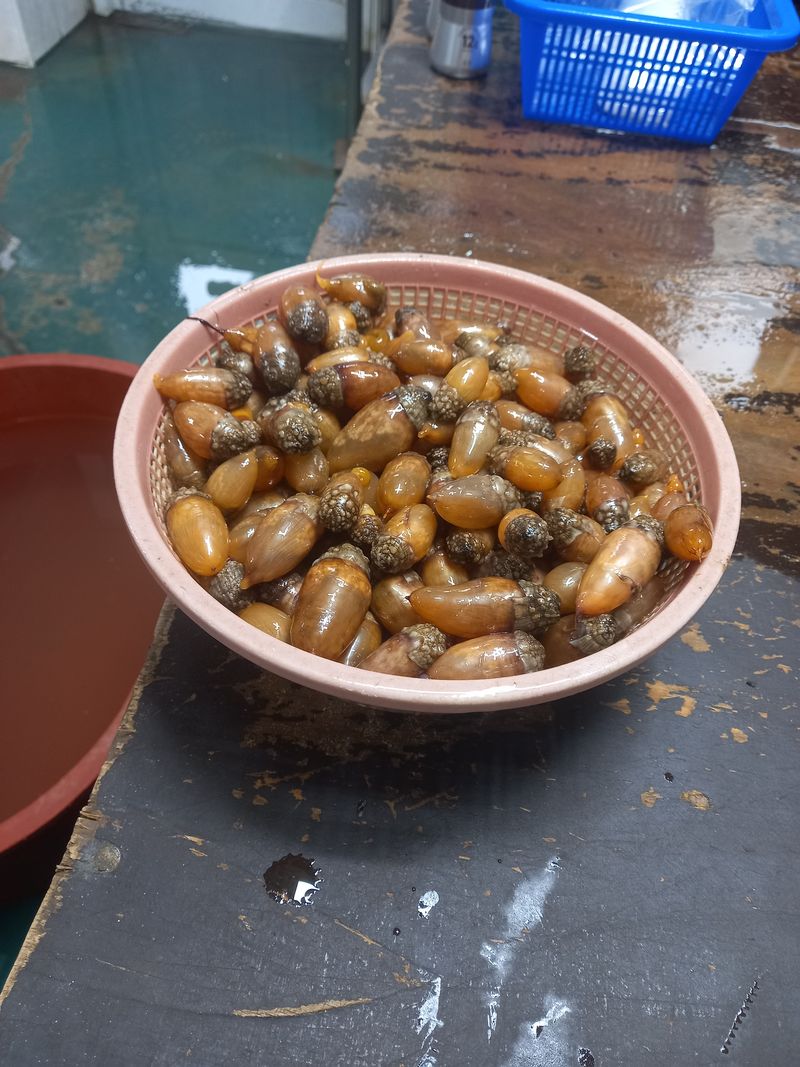 미소할머니님의 장터 판매 상품 [미더덕1Kg] 첨부 사진