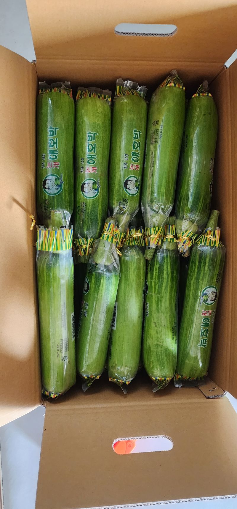 장터 상품 [친환경 무농약 애호박 B품 ] 썸네일