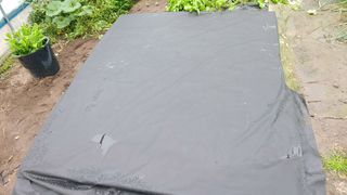 이용일님의 참깨 · 자유게시판 작성글 사진