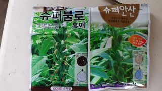 이용일님의 참깨 · 자유게시판 작성글 사진