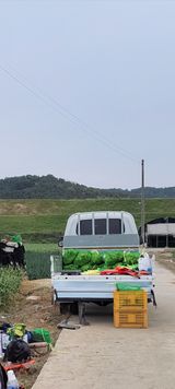 팜모닝 자유주제·자유게시판 게시글 이미지