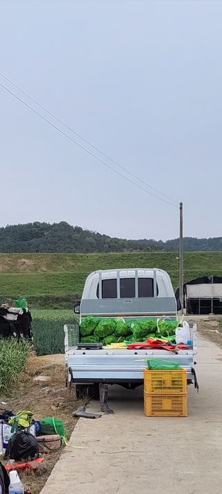 농사꾼 단비님의 자유주제 · 자유게시판 작성글 사진