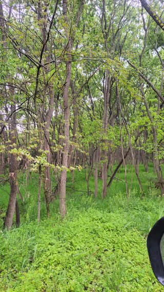 농사꾼 단비님의 자유주제 · 자유게시판 작성글 사진