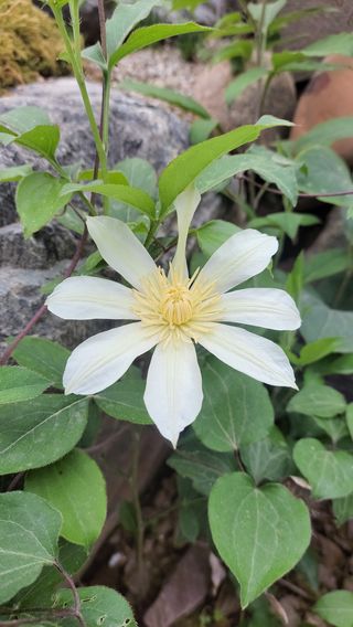 농사꾼 단비님의 자유주제 · 자유게시판 작성글 사진