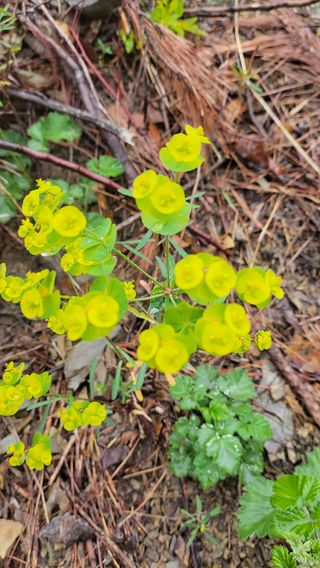농사꾼 단비님의 자유주제 · 자유게시판 작성글 사진