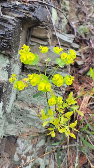 농사꾼 단비님의 자유주제 · 자유게시판 작성글 사진