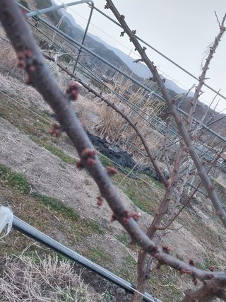 장준호님의 자유주제 · 자유게시판 작성글 사진